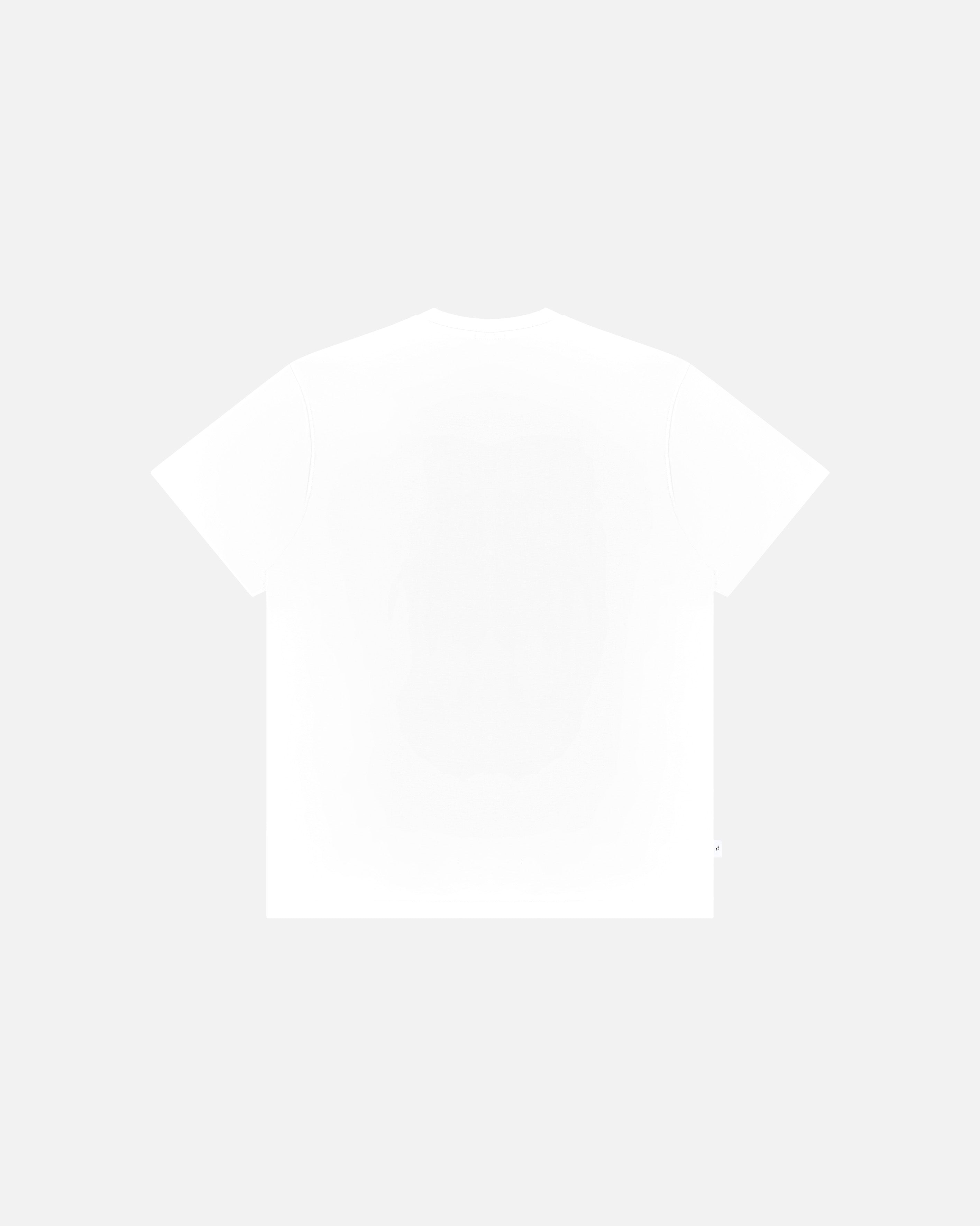 ART OF Football Scotland We'll Be Coming Tee | AOF White T-shirt